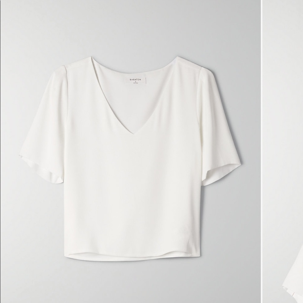 Aritzia Babaton Randy Blouse
